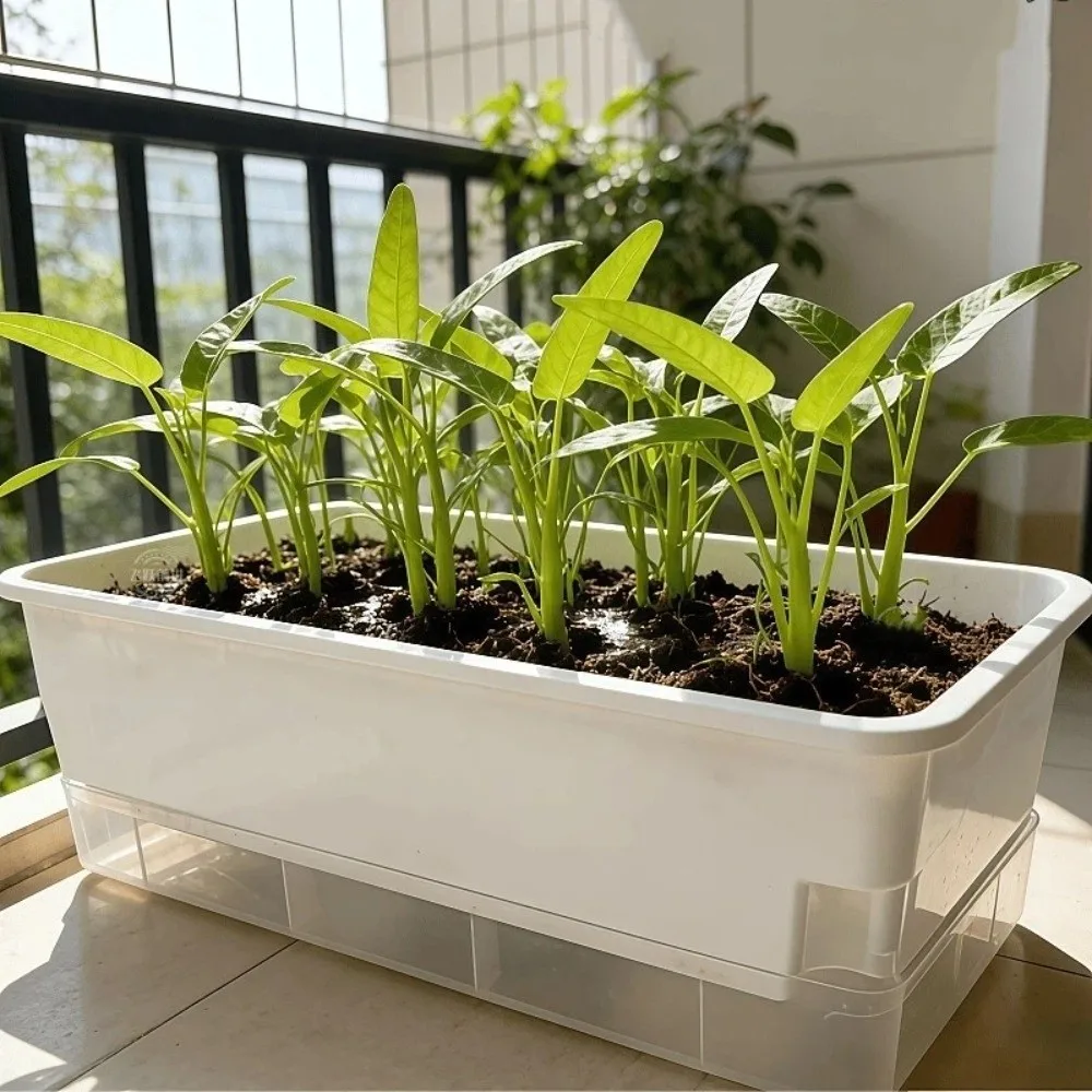 Plastic Hydroponic Plant Pots Thicken Cultivation Box Seedling Tray Self Watering Planting Container Plant Nursery Pot