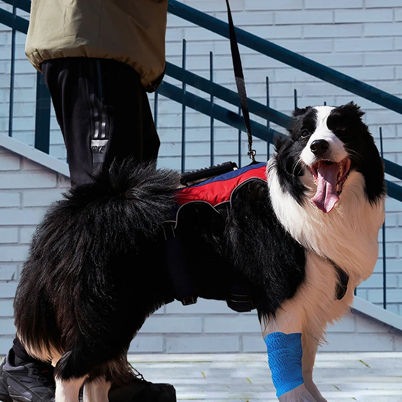 

Universal Dog Chest Harness Assisted Walking Harness Pet Vest Tactical With Reflective Stripe Dog Sturdy Harness Pet Supplies