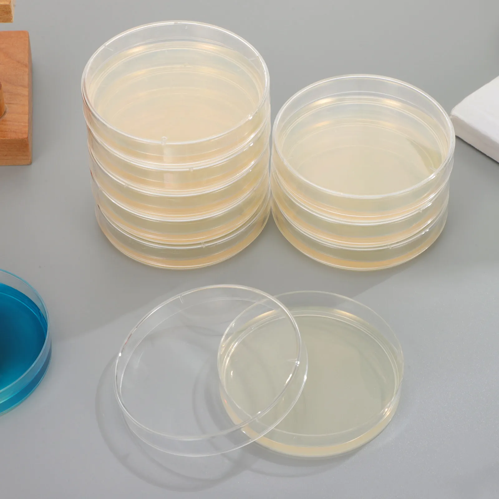 

20Pcs Nutrient Agar Plates Prepoured Petri Dishes Science Experiments Laboratory Cultivation Supplies Agar Plates