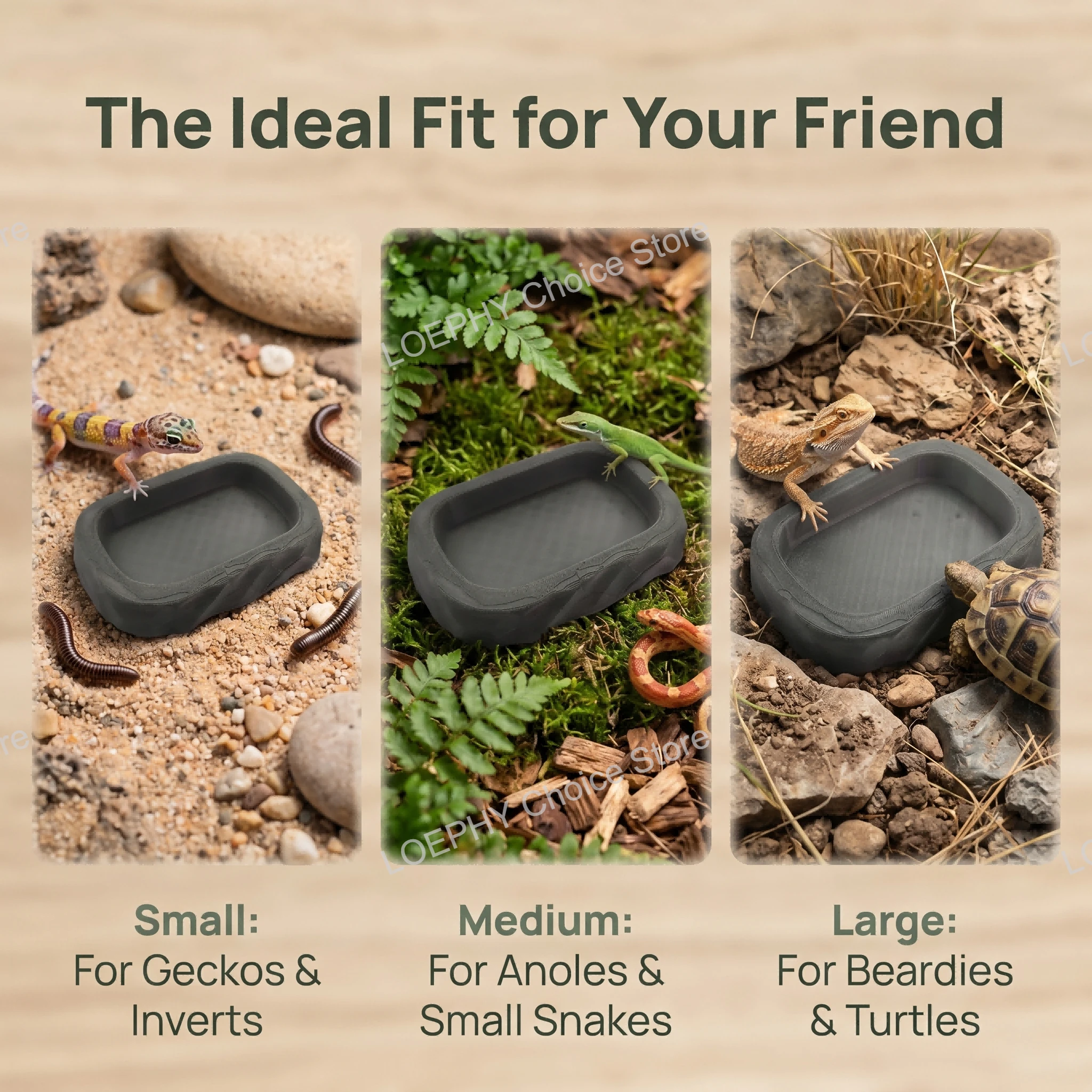 Thumbnail 2 - #9 Cheap Reptile Water Bowls Worth Buying