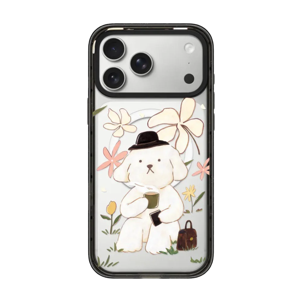 6032234 Acrylic / Mirror Magnetic Case: Compatible with IPhone 17 16 15 14 13 12 Pro Max 17 Air