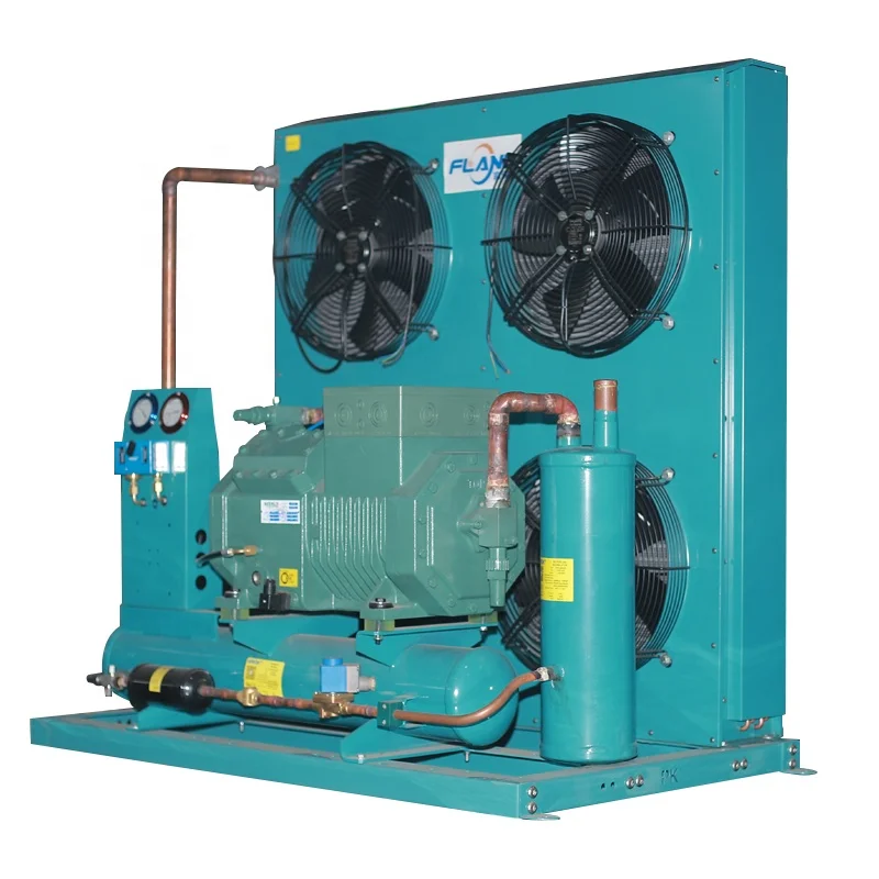 Factory 3hp 5hp 6hp 10hp Germany Air Cooled Compressor Condensing Unit for Cooling System Refrigeration