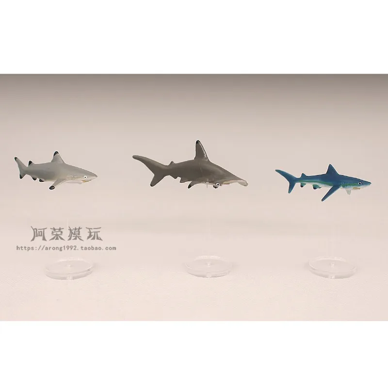 Animali marini in miniatura Action Figures Modello Squalo a testa di martello Squalo blu Grande squalo bianco Decorazione paesaggio microscopico
