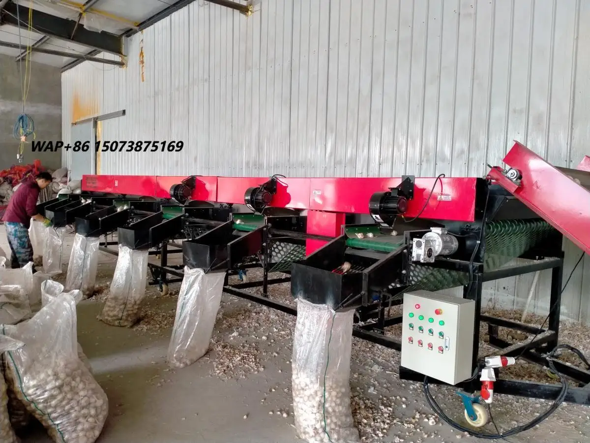 Factory Supply Fruit and Vegetable Sorting and Grading Machine Onion Garlic Sorting and Clean Machine for Sale
