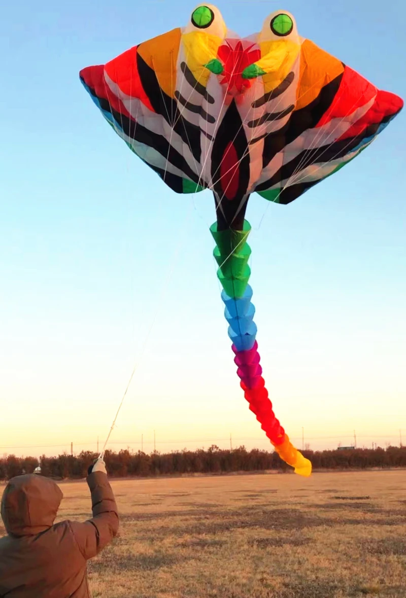 Ray ryba latawiec dla dorosłych latawiec diabeł latawiec latający nadmuchiwany smok profesjonalny latawiec duży latawiec windsurfing kołowrotek Hoka