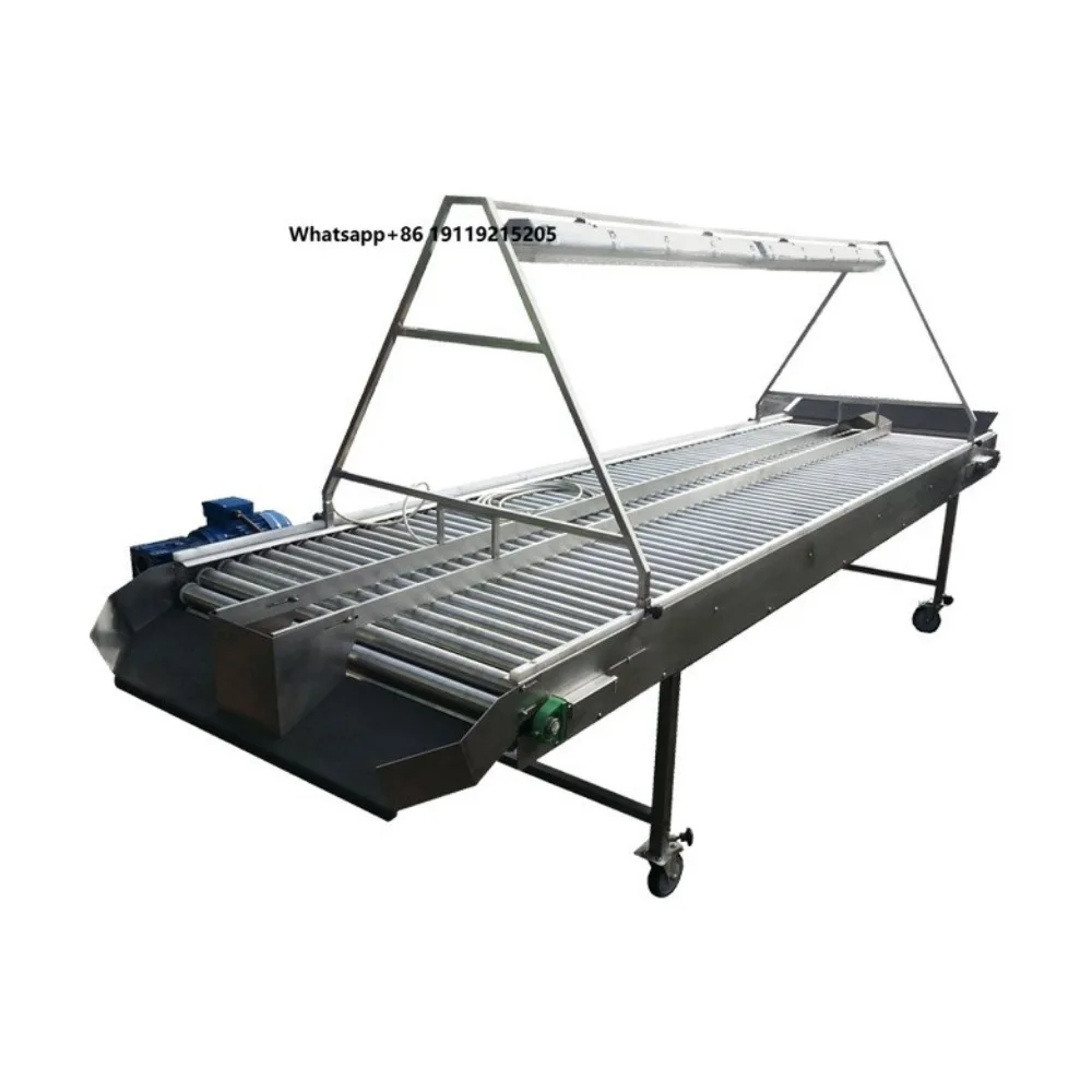 Fruit Vegetable Washing Sorting Belt Conveyor With Press Roller and Spray Pipe for Manual Sorting Production Line