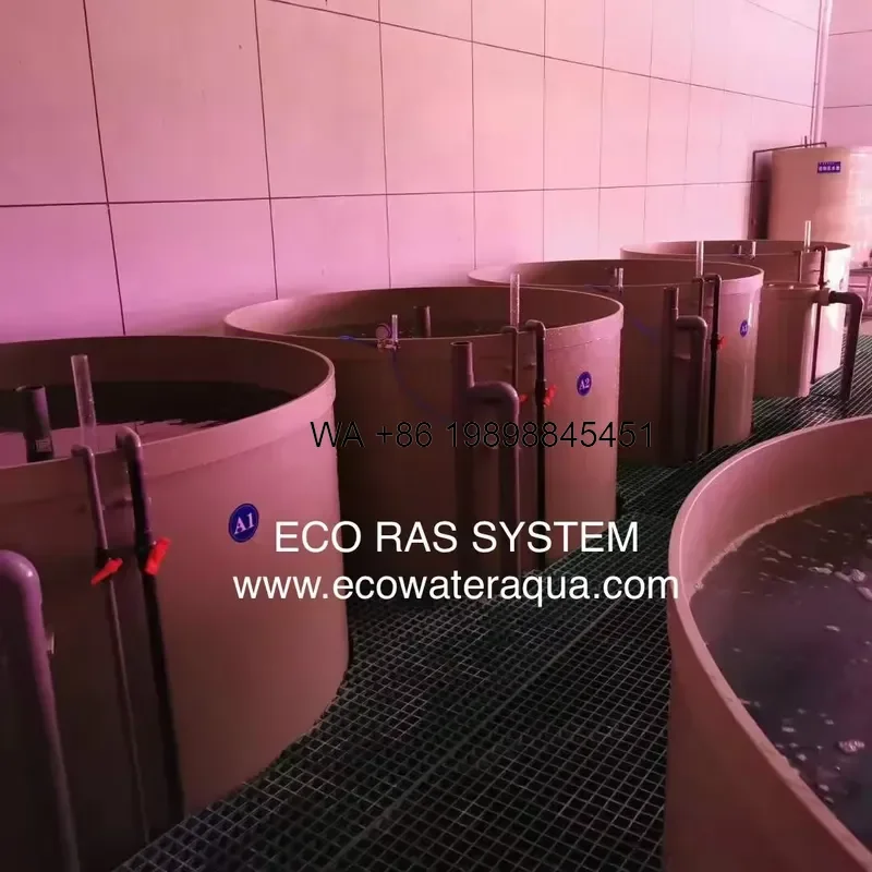 Wmwmnu ECO Farming for Nursery Hatchery Grow Out RAS System