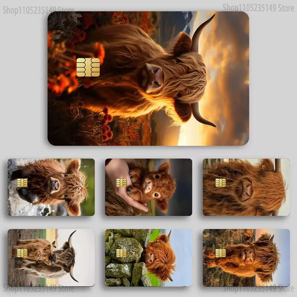 Cute Highland Cow Sticker Film Tape Skin for Credit Card Debit Card Cartoon Waterproof Stickers Small Chip