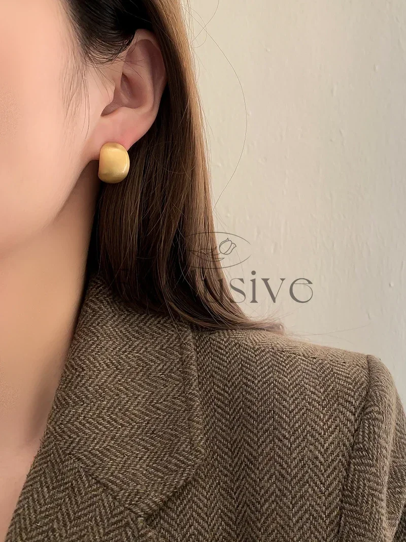S925 Silver Needle Sweet Cool Metal Matte Brushed Texture Cold Wind Premium Doudou Earrings