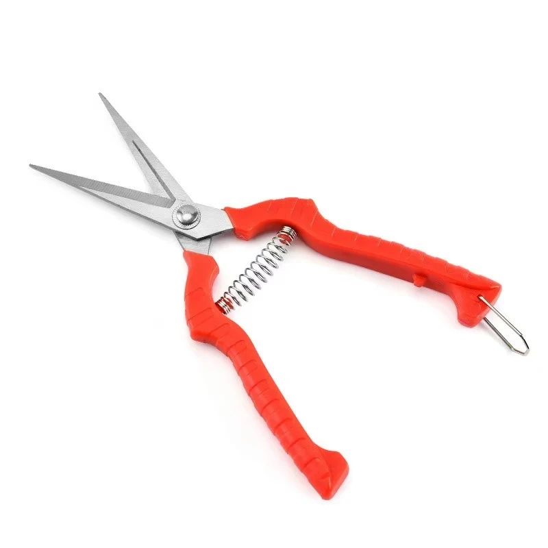 สวนเครื่องมือช่างสแตนเลสกรรไกรทําสวนกรรไกรตัดแต่งกิ่ง Pruner Secateurs