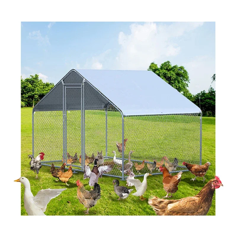 Mesh Breeding Chicken Coop Cages for Breeders Hens