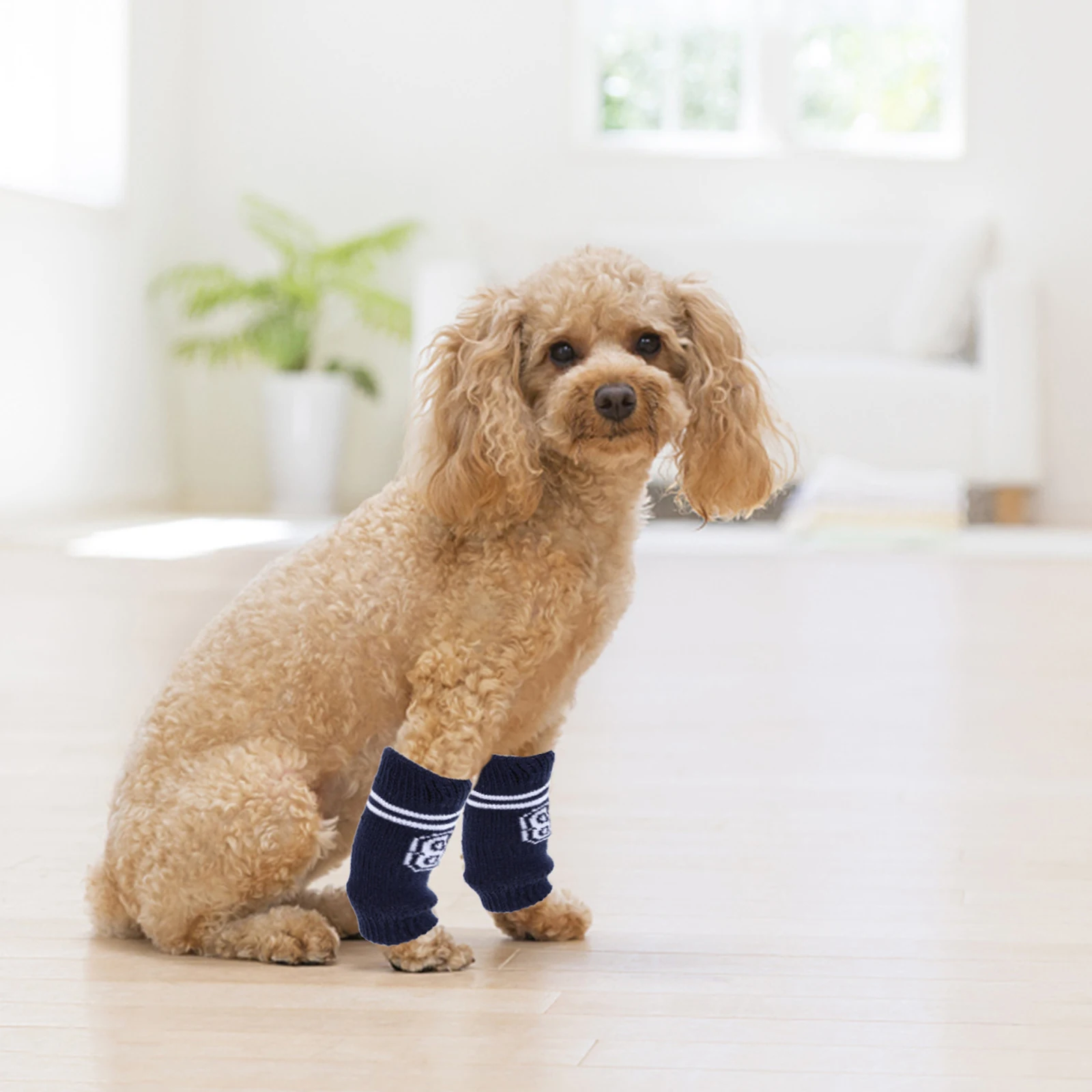 

4Pcs Pet Socks for Small Dogs Anti-Slip Dog Leg Warmers Washable Skin-Friendly Dog Socks for Indoor Outdoor Use