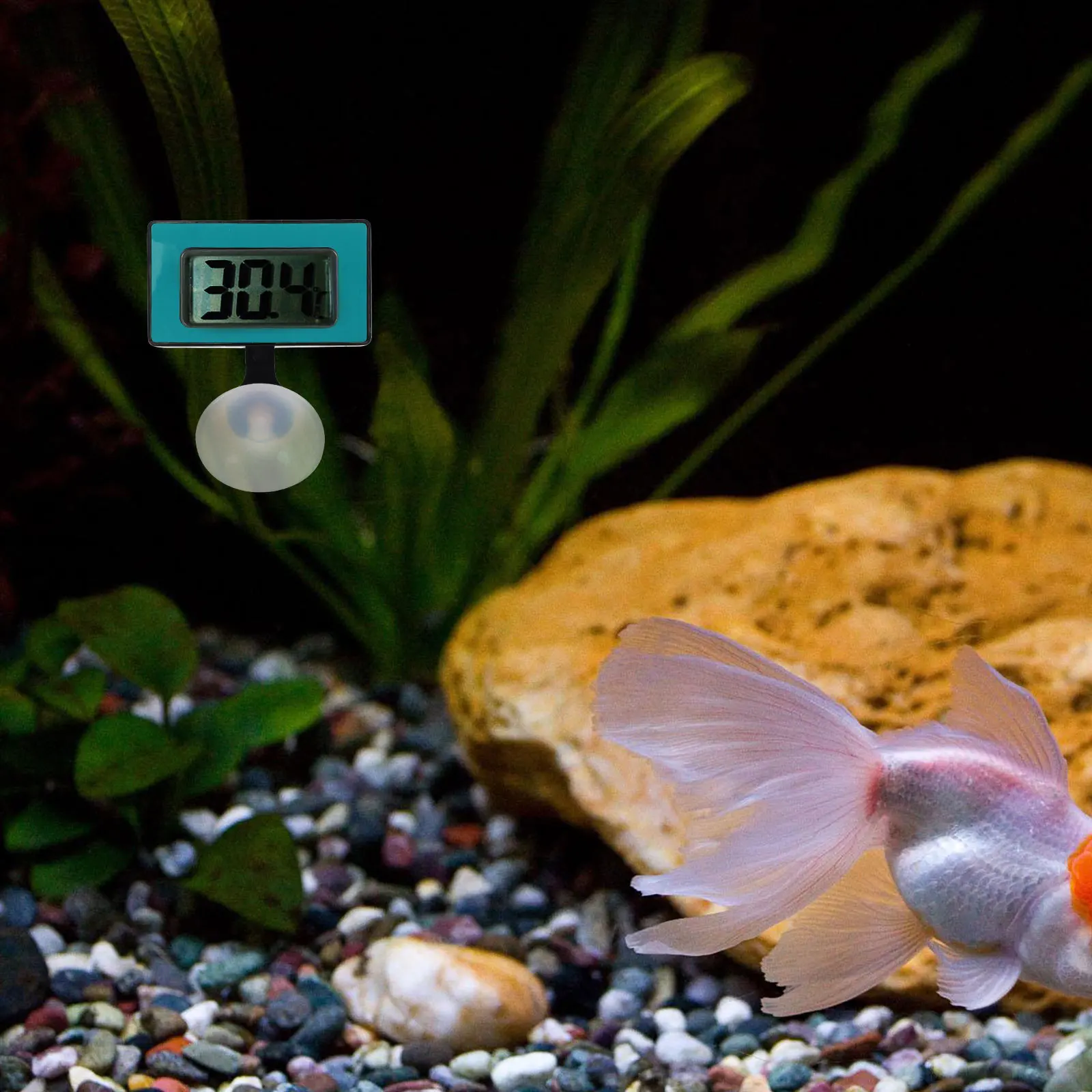 

1Pcs Waterproof Aquarium Thermometer Digital Fish Tank Temperature Meter Reptile Box Temp Gauge Electronic Temperature