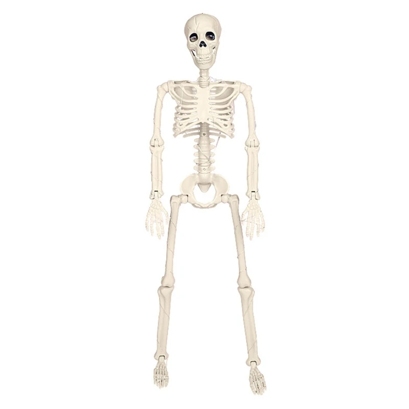 KX4B Life Size Halloween Skeleton with Movable Joints and Eerie Glowing Light Decors