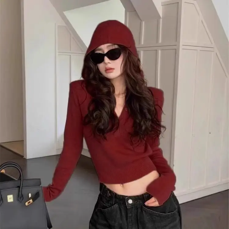

American Hooded Knitted Short Sweater Women Autumn New Slim Niche Design Long-Sleeved Casual Inner Top