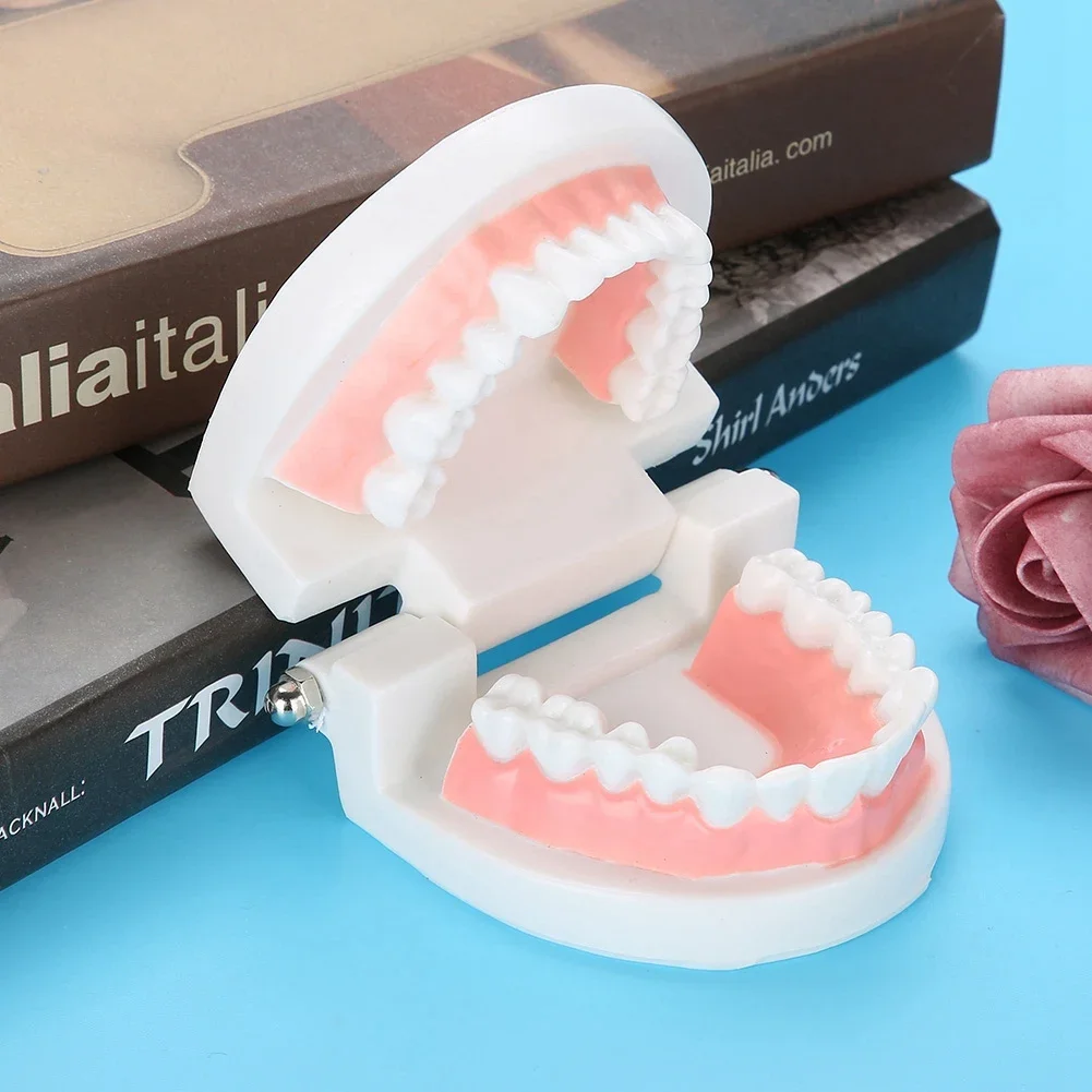 

Pro White Dental Teaching Model For Standard Adult Teeth Denture Mold Dentist Caries Tooth Care Demonstration Tool 3.7*2.6*2.0in