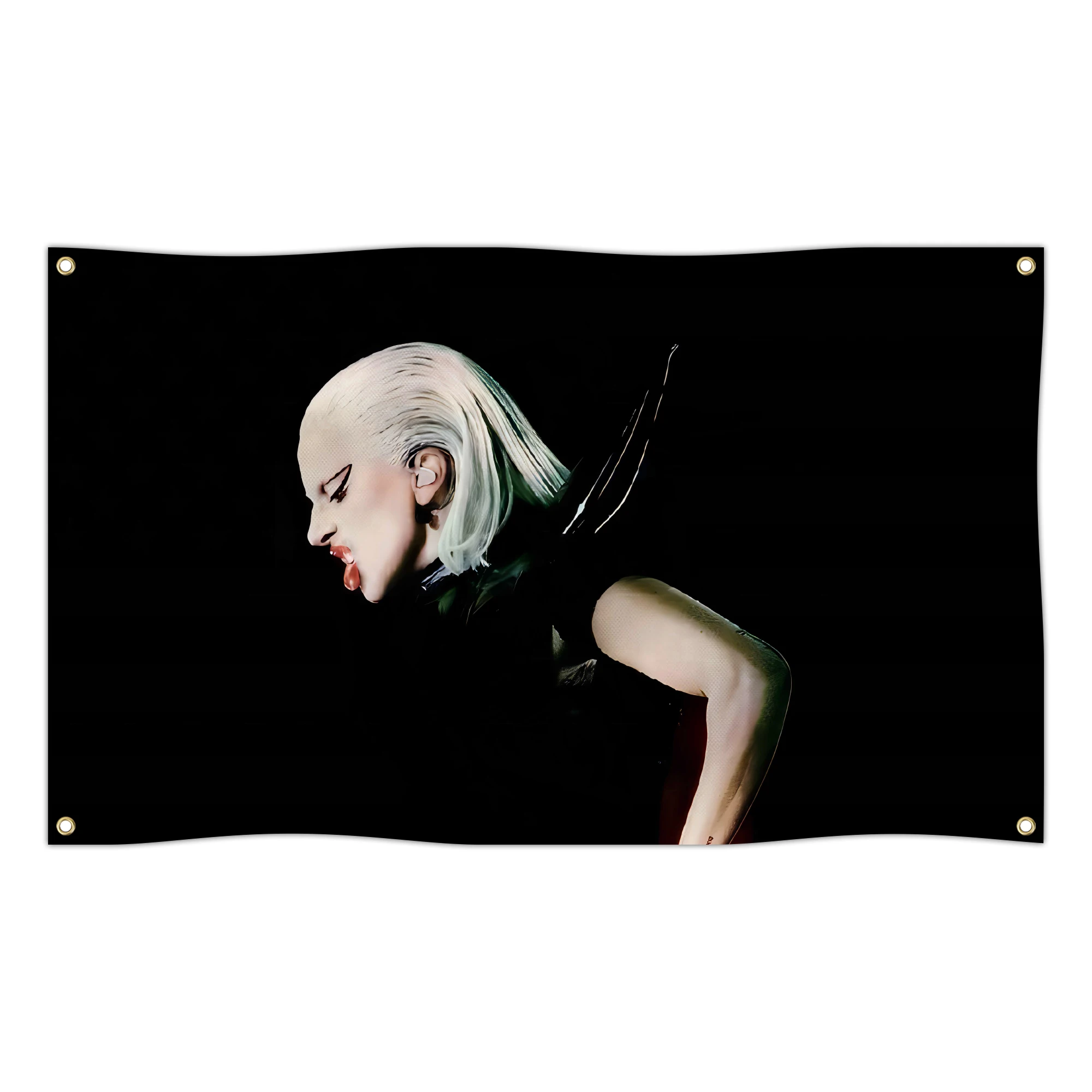 Lady Gaga-1 Luigi Flag Banner Outdoor Decor with 2 Brass Grommets