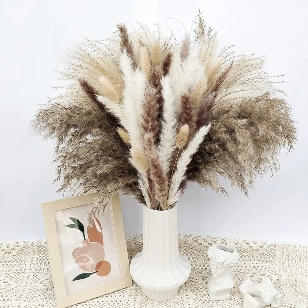 

Natural Dried Fluffy Pampas Grass Bouquet Set Boho Home Decor Pompous Large Reed Bunny Tail Wheat Stalk Decorative