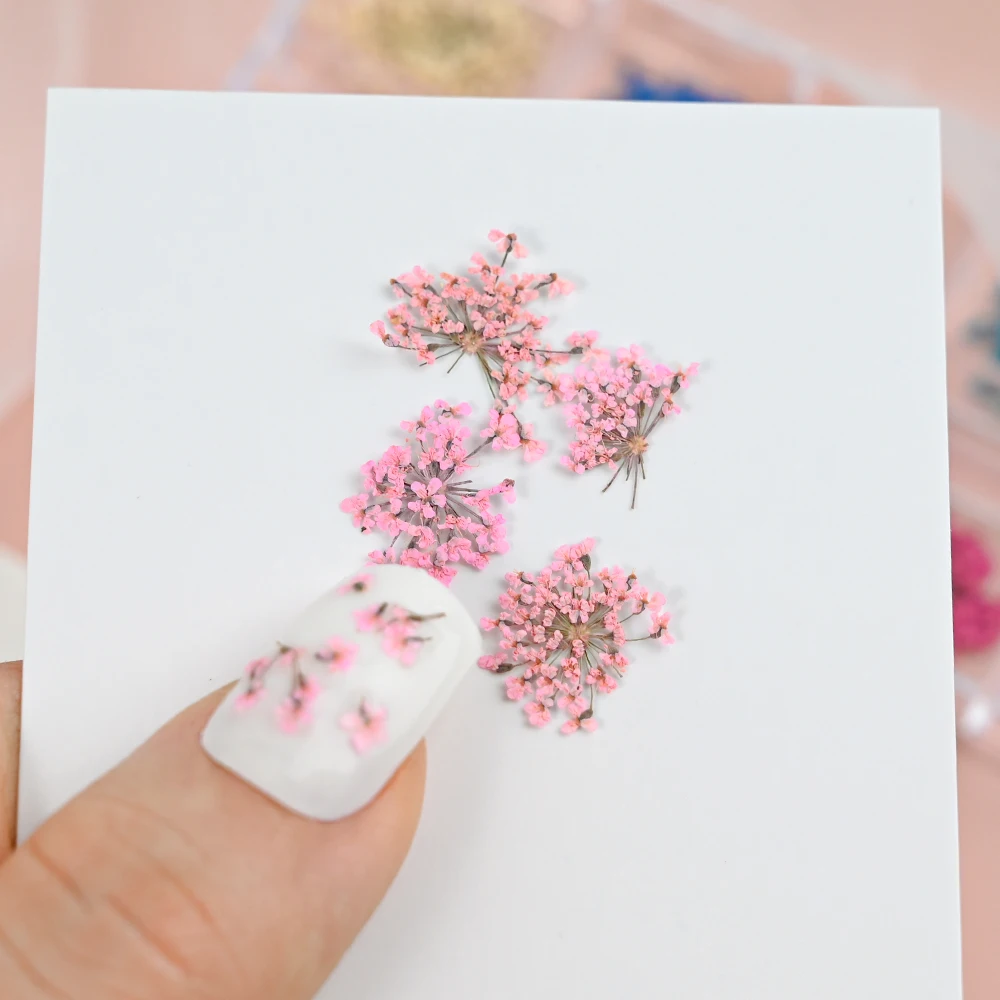 12 Color 3D Dried Flower Nail Art Accessories Babysbreath Floral Petals Natural Exquisite Flower Nail Decals Decoration Material