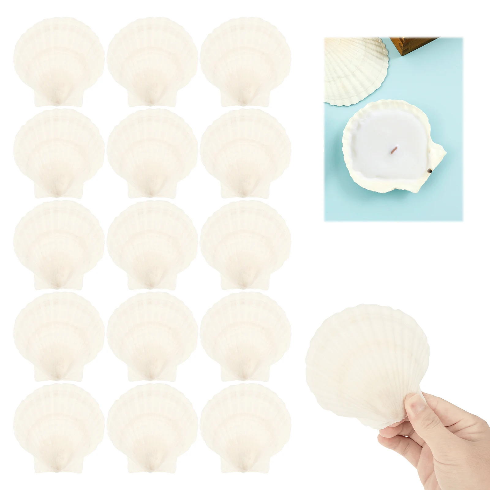 قذائف التقوقع الأبيض الطبيعي DIY بها بنفسك الحرف الخبز ديكور الشاطئ حفلات الزفاف رسمت باليد الكتابة على الجدران ملصقات جدار الحرف الديكور