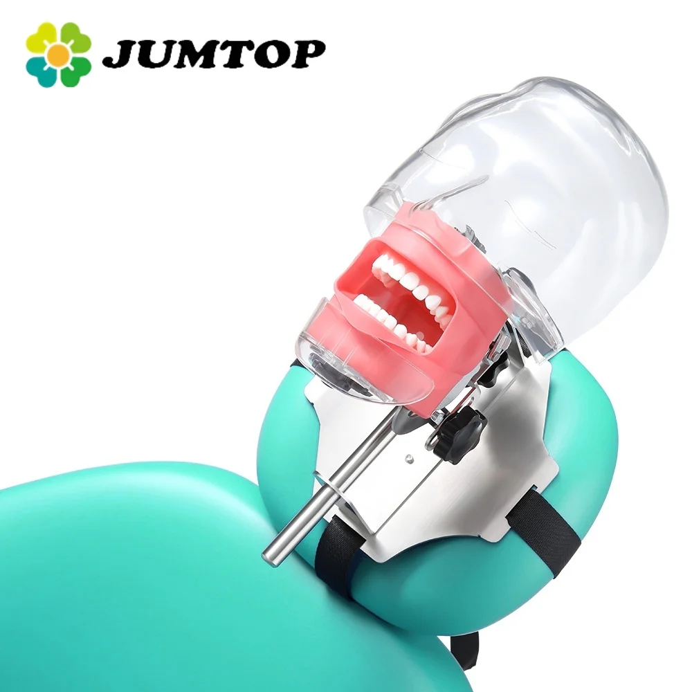 

JUMTOP стоматологический симулятор, голова манекена, модель зуба Typodont, форма для обучающей головы с 28, съемными зубьями