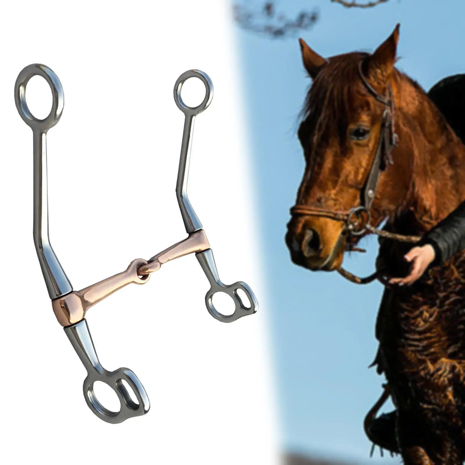 Stallion Training Bit H Shape Horse Snaffle Bit for Training Equipment