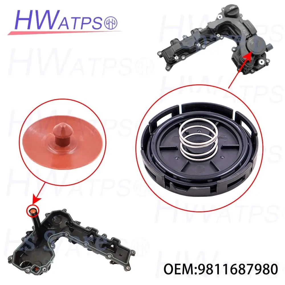 9811687980 For Citr… - image