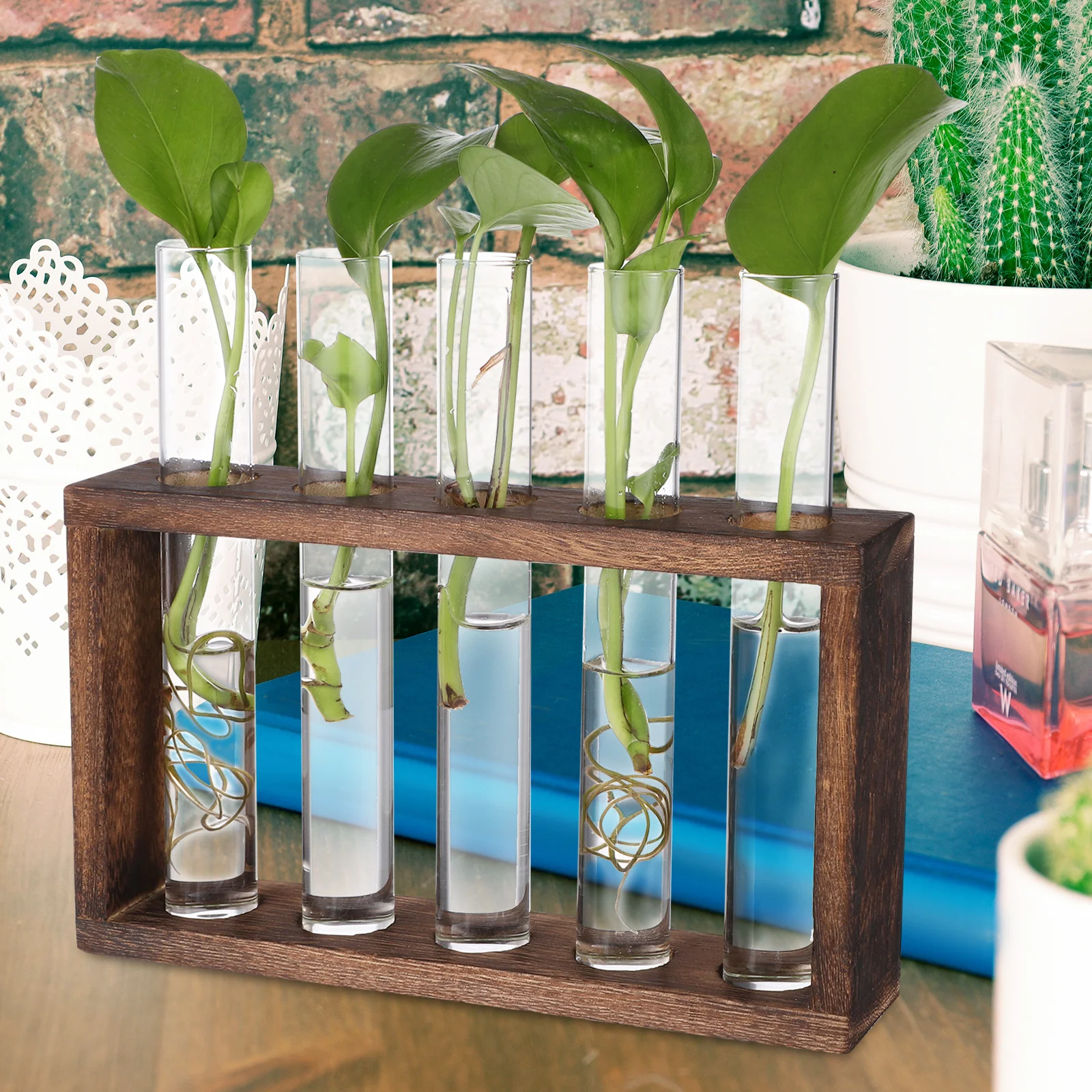 

Plants Propagating Tubes for Propagation Station Glass Flower Vase Hanging Garden Shelf Wall Planter Test