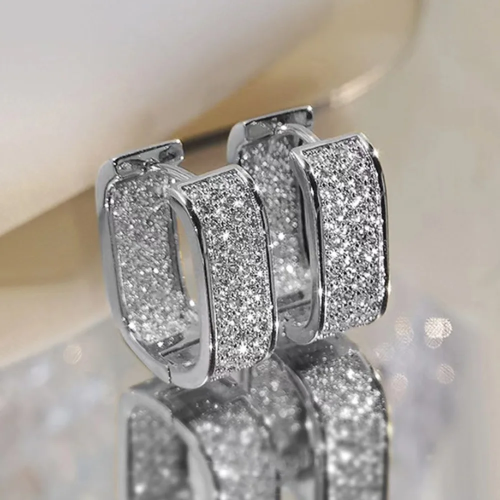 High Quality Earrings. Exquisite Sparkling Earrings. U-Shaped Design Stainless Steel Jewelry, Best-Selling Jewelry in 2023