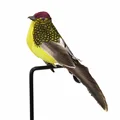 Amarillo
