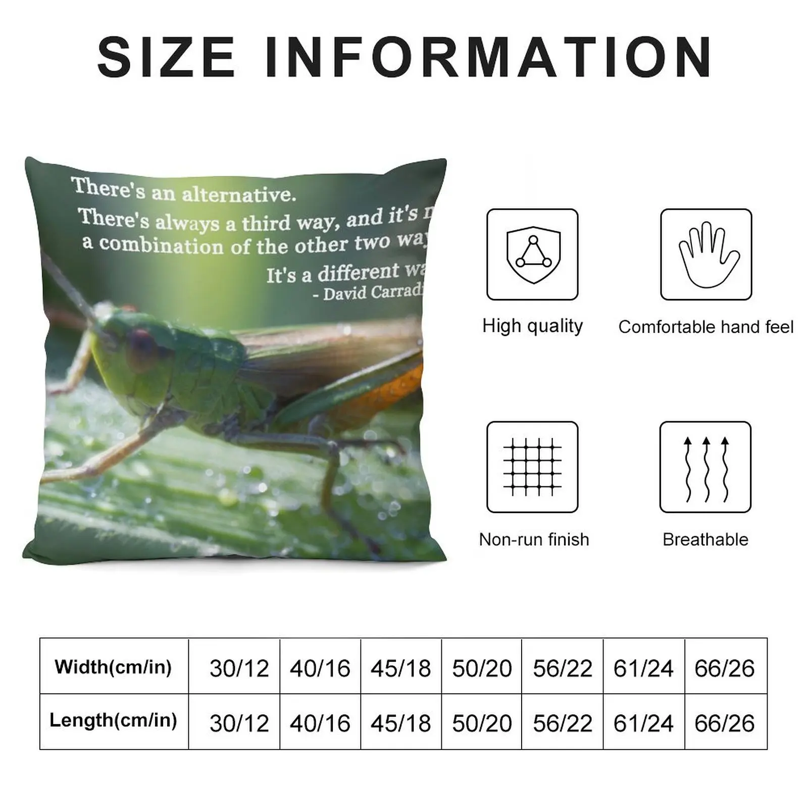 Ahhh grasshopper Throw Pillow luxury sofa pillows Sofa Cushion Cover Sofa Cushions Cover pillow