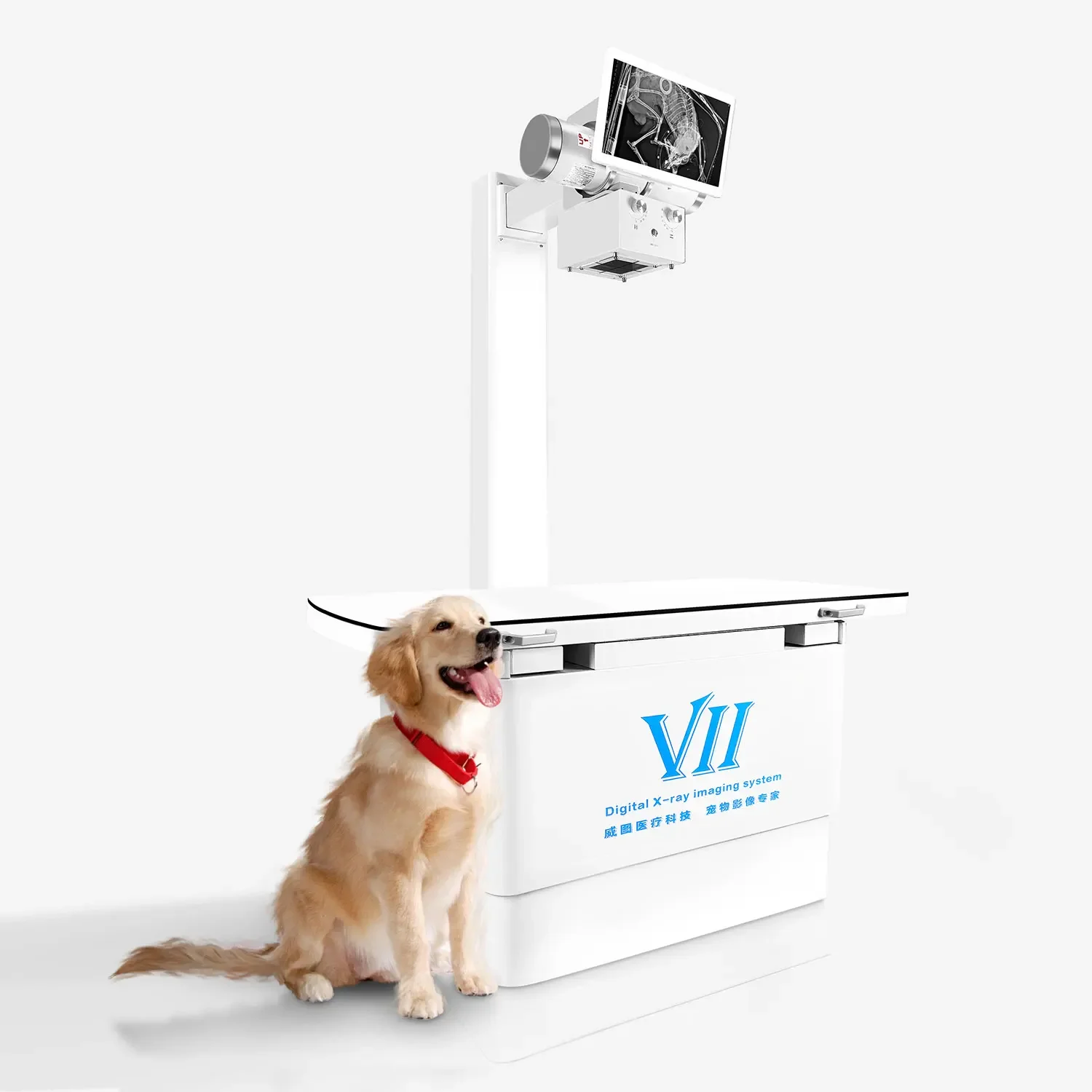 DX-VM Plus Rotatable 180 Degrees C Arm Shape Veterinary X Ray Machine Equipment