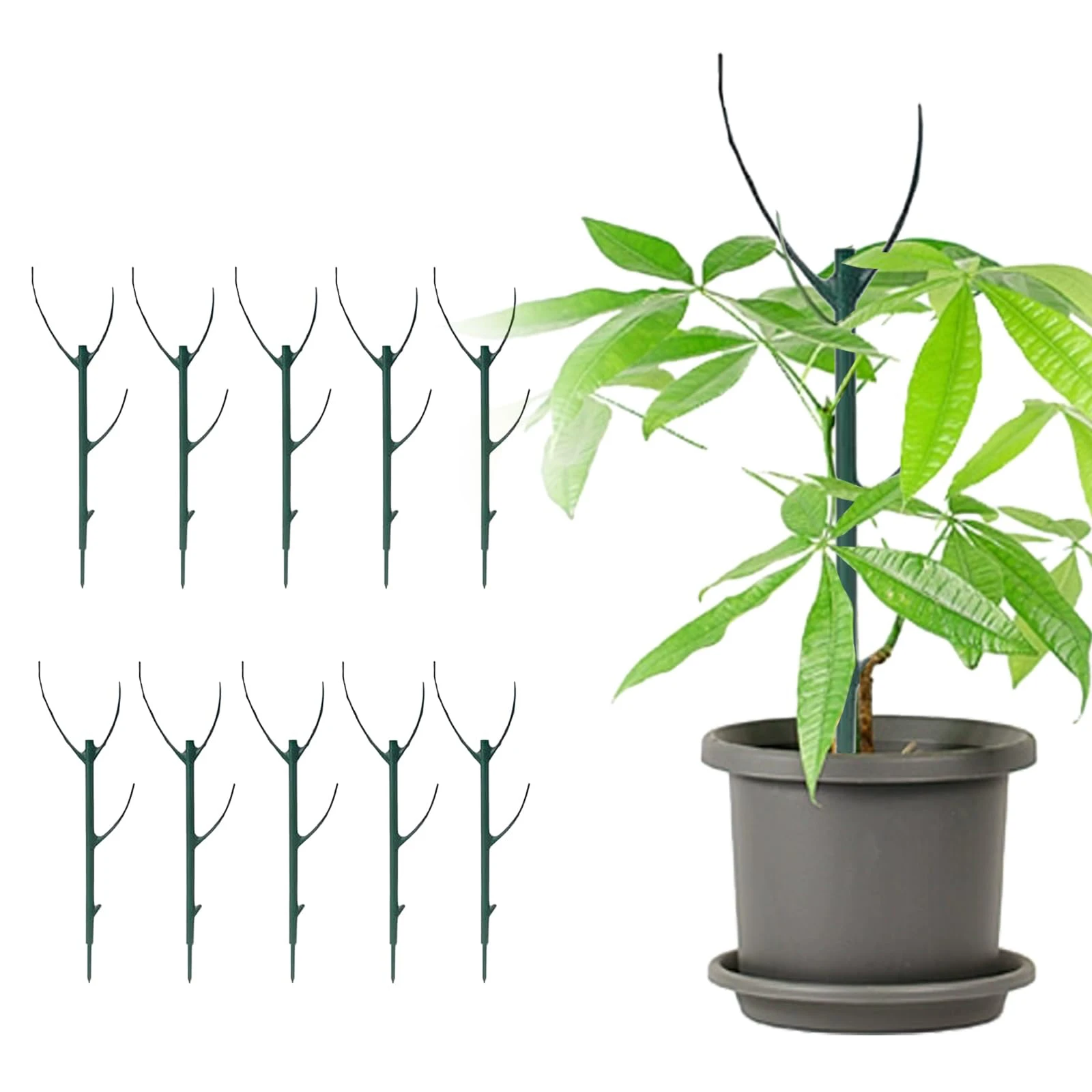 Soporte apilable para plantas Monstera, estacas para plantas para uso en plantas, estacas de jardín para trepar y plantas en macetas, 5/10 Uds.