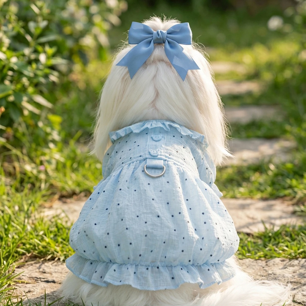 2026 Breathable Mesh Teddy Dress Summer Polka Dot Printed Dog Clothes Thin and Cute Clothing for Small Dogs