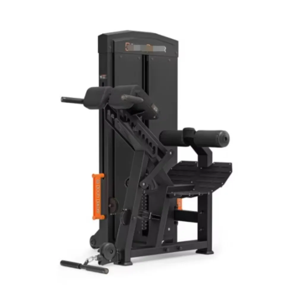 Loaded Machine Fitness Equipment Source Manufacturer Wholesale Sales Selectorized Back Extension