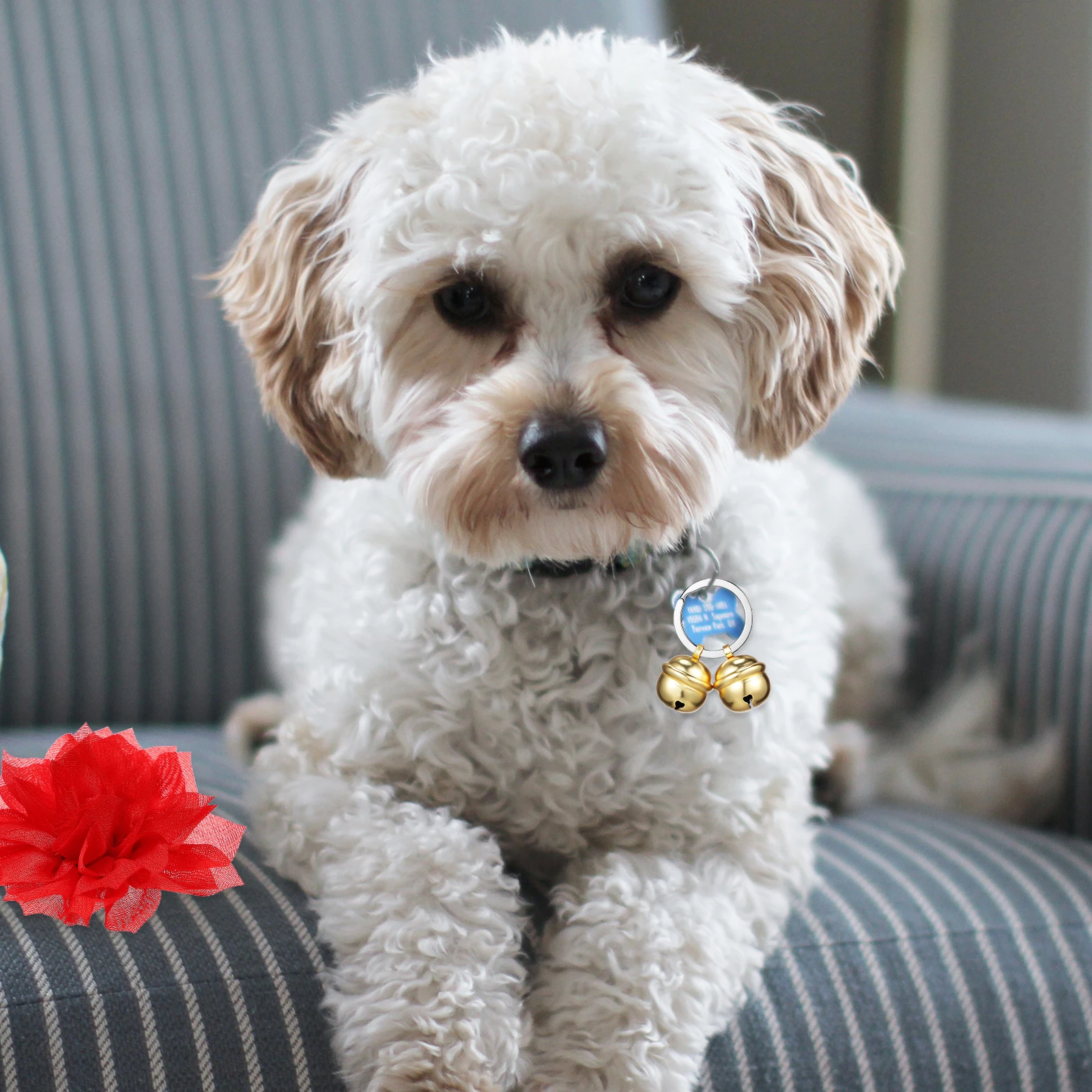 

Pet Collar Accessories Bells for Pets Puppy Vintage Small Decorated Decorative Dog Cat The Animal