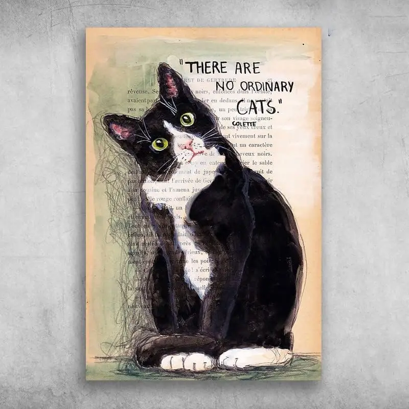 Cute Funny Black Cat There are No Ordinary Cats Colette Vintage Style Metal Wall Plaque Wall Decoration Metal Sign 8x12 inch