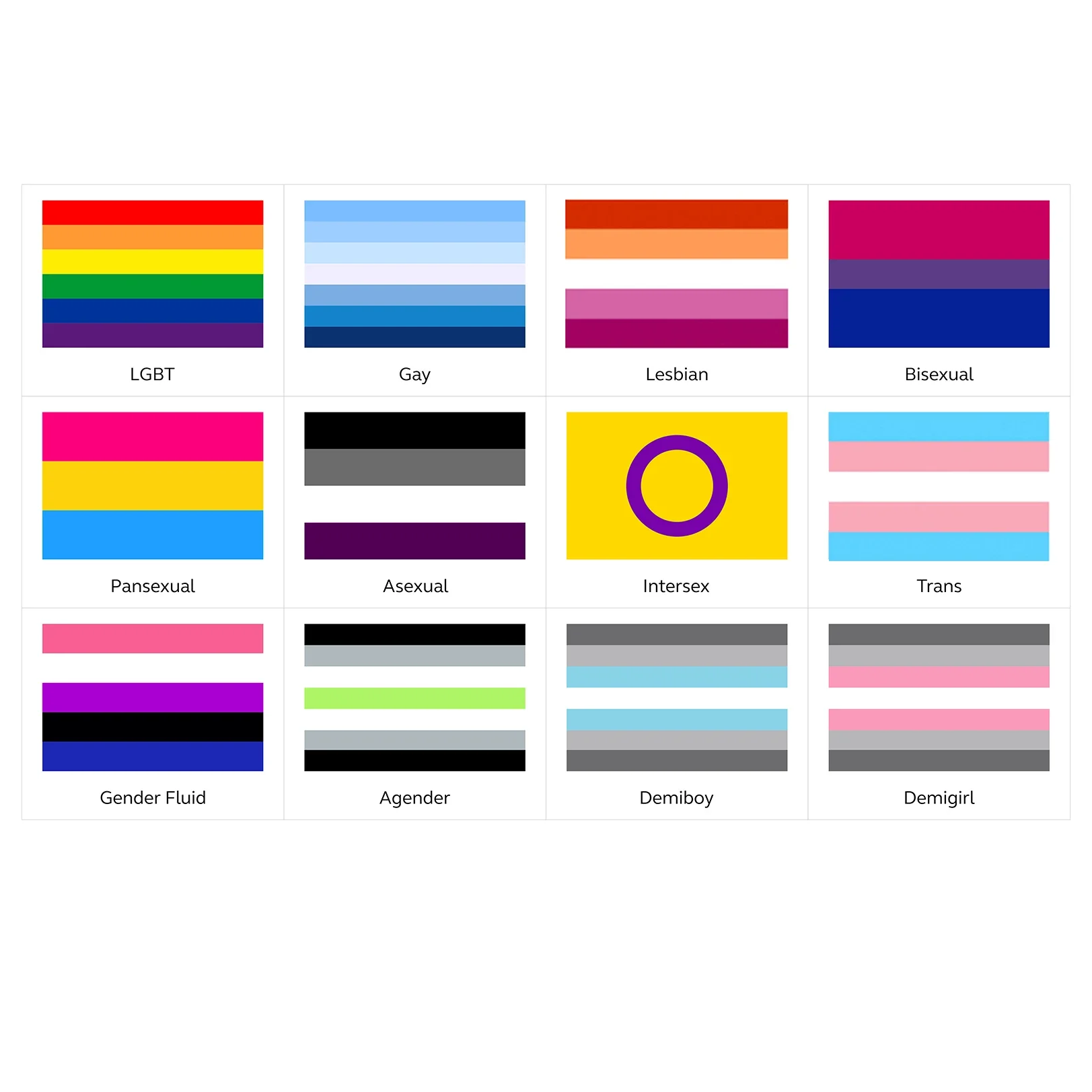 FLAGDOM 60x90cm 90x150cm Genderfluid Flag Banner Tapestry