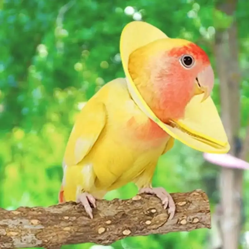 Anti Bite Bird Collar Breathable Soft Adjustable Bird Neck Collar for Parrot Cockatiel Post Surgery Recovery