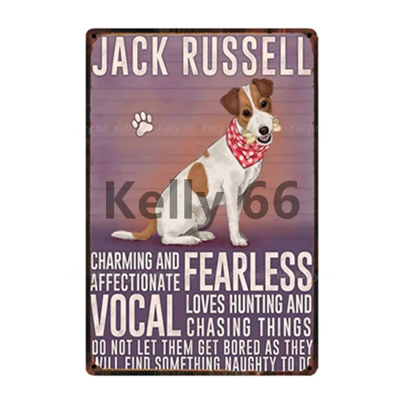 [ Kelly66 ] Pet Dogs Rules Better Life With Jack Russell Terrier Metal Sign Home Decor Bar Wall Art Painting 20*30 CM Size DG-16