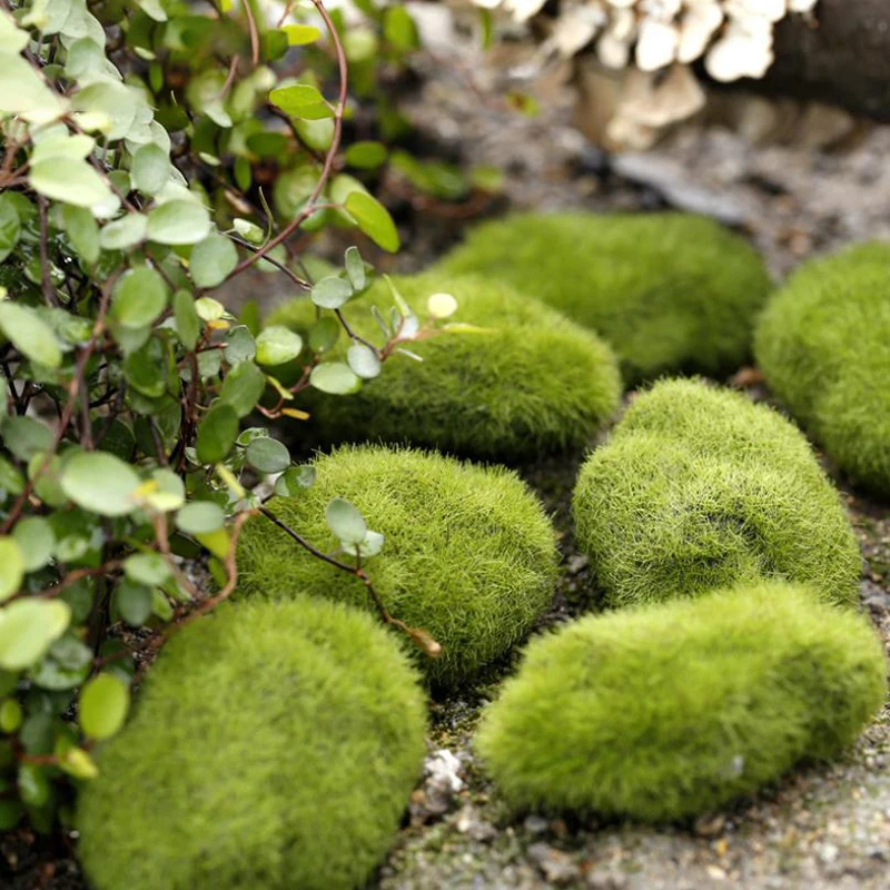 4PCS 3cm/6cm/8cm/10cm Simulated Moss Stone Fake Stone Micro Landscape Artificial Moss Stone Fairy Garden Bonsai Fake Moss Decor