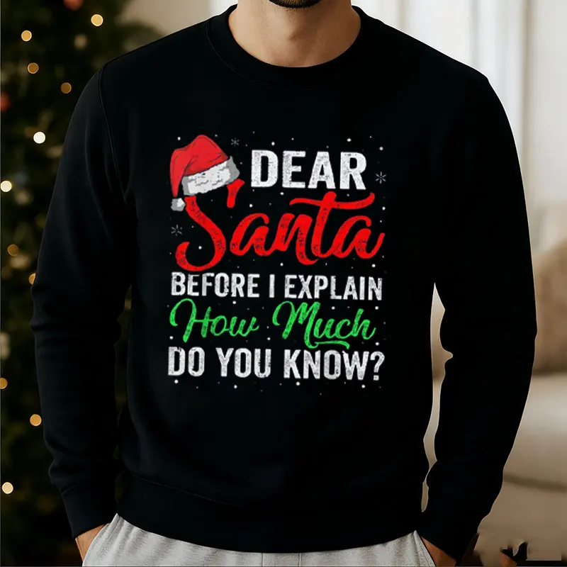 Dear Santa Christmas Holiday Sweatshirt Hoodie Funny Santa Christmas Party Outfit Humorous Festive Wear Christmas Jumper Funny