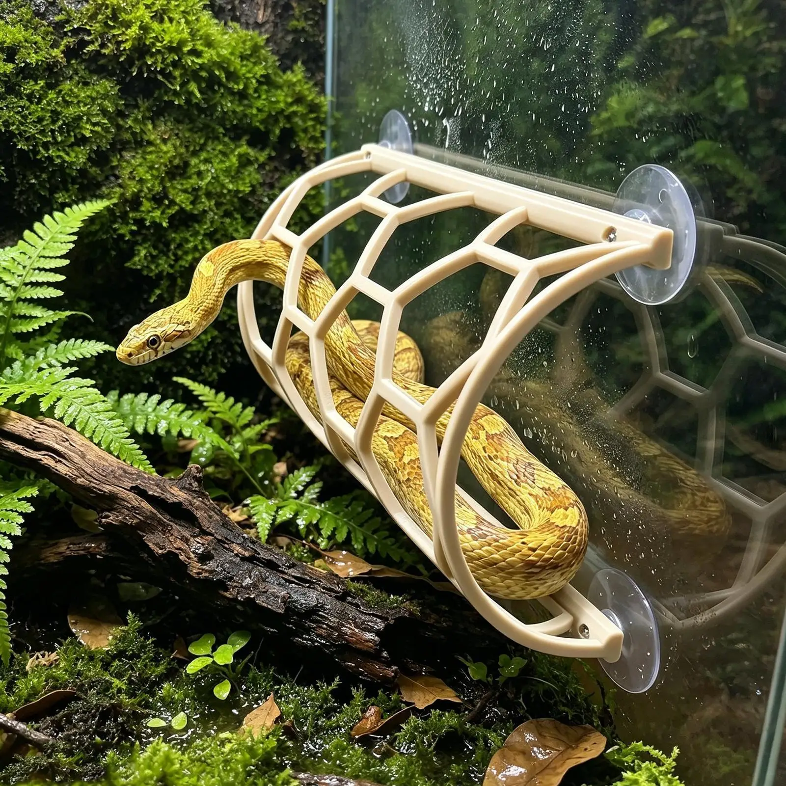 Snake Enclosure Decor Suction Cup Decorative Climbing Shelf Snake Enrichment Terrarium Shelf for Reptile Bearded Dragon Lizard
