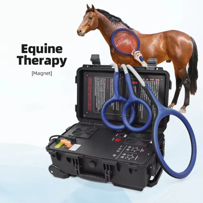 Direct Sales PEMF Horse Pain Relief Machine Physical Pulsed Electromagnetic Field Therapy Portable Pemf Magnetic Therapy Device