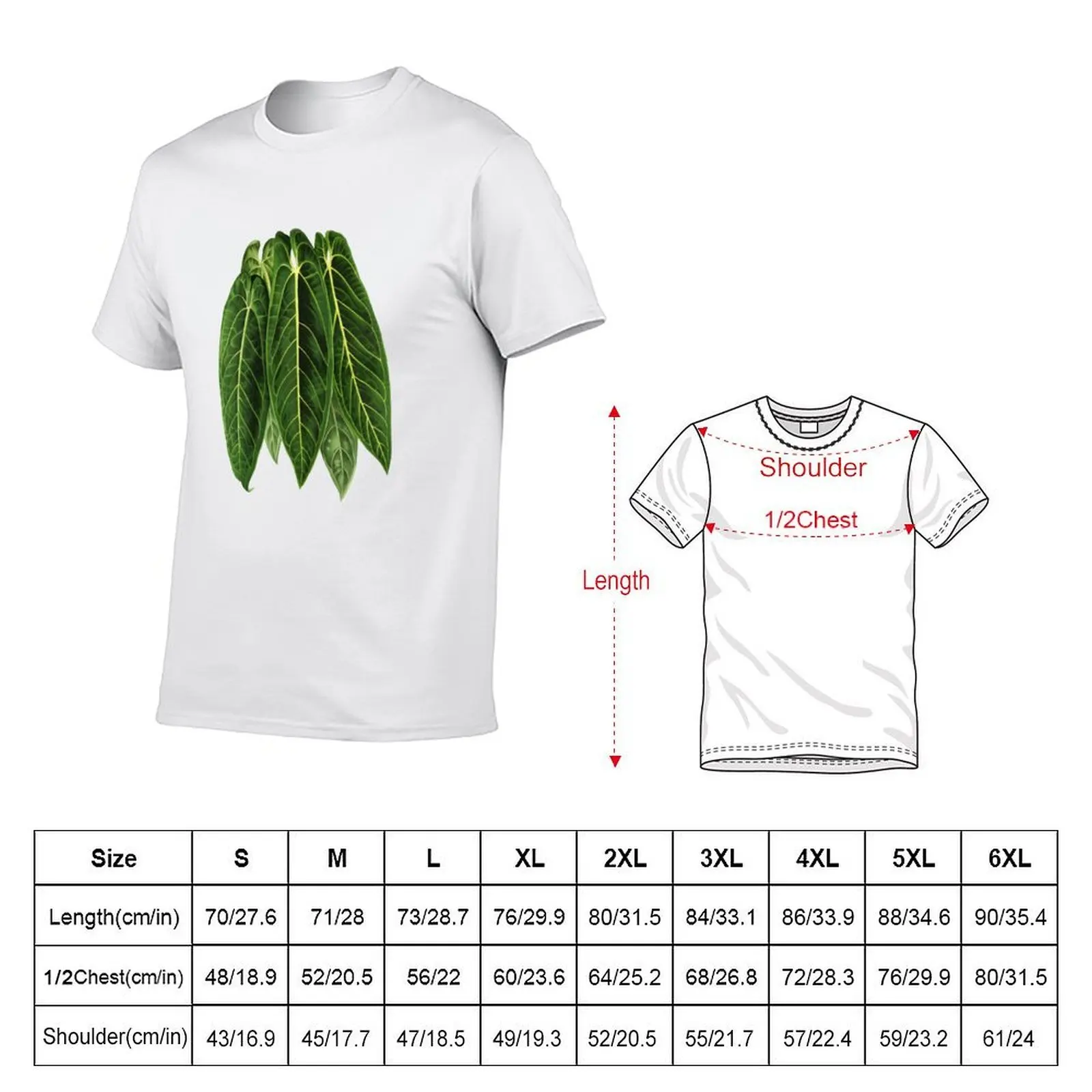 Anthurium warocqueanum - Queen Anthurium T-Shirt t shirts for man graphic funny man t shirt cotton high quality T-Shirt