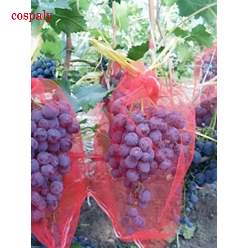 Bolsa de 100 Uds para proteger los uvas, bolsa transpirable con cinturón de malla de gasa, resistente al desgaste, bolsa antiinsectos de malla