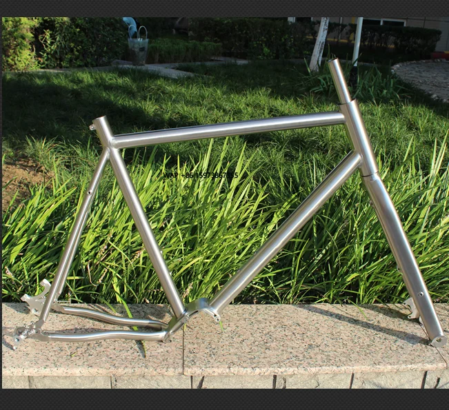 

Titanium Fat Bicycle Frame with Pinion