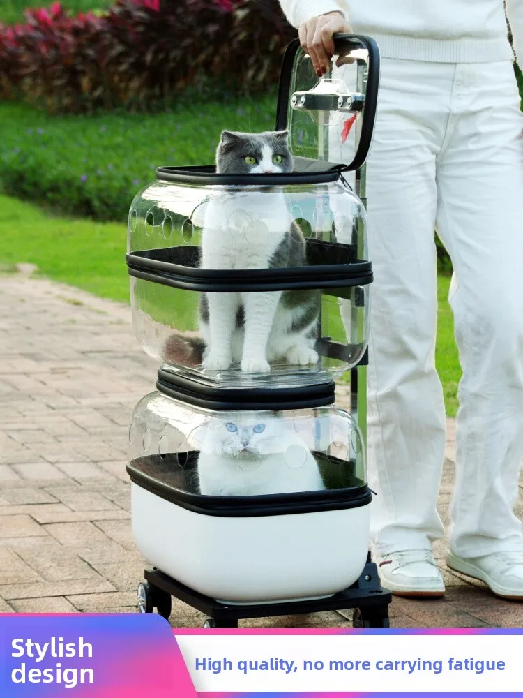 

Большая двухслойная прозрачная переноска для животных, дорожная сумка для двух питомцев, портативная сумка-переноска для собак, снаряжение для путешествий с животными