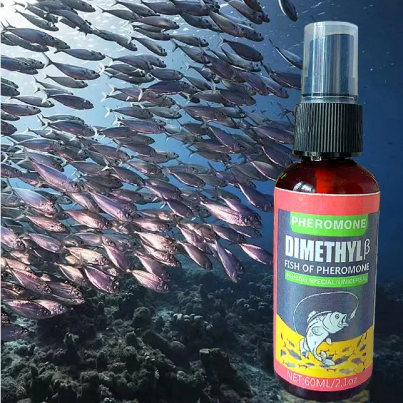 Fish Bait Fishy Fis…