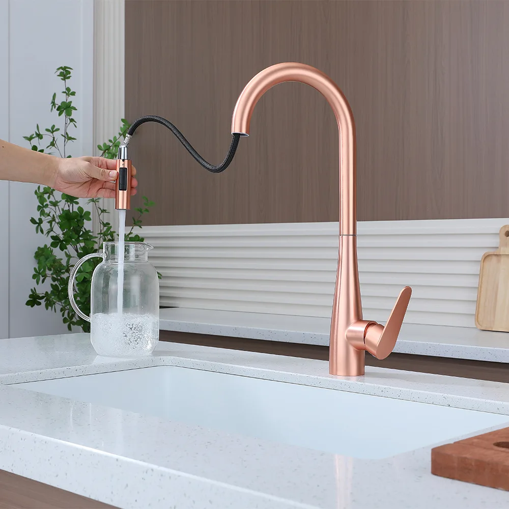 Brass Pull Out Kitchen Faucet Hot Cold Water Sink Tap for Dish Washing Multi Function Home Use